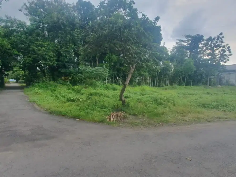 Tanah Luas Murah Strategis di Piyungan Bantul #Kode : TP 036