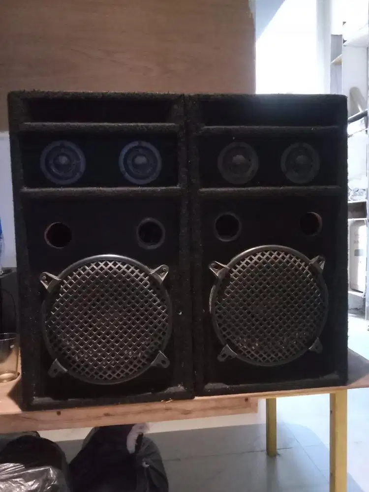 Speaker pasif canon 10