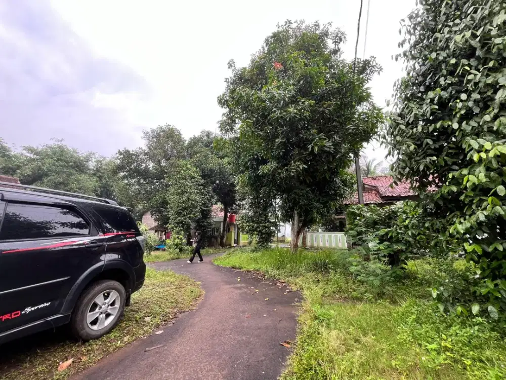 Tanah Murah 700 Ribu-an/m Dekat Polsek Rajeg Free SHM