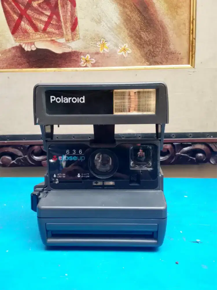 Polaroid untuk display