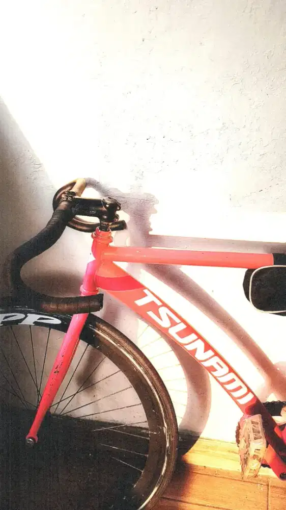 sepeda fixie rem torpedo