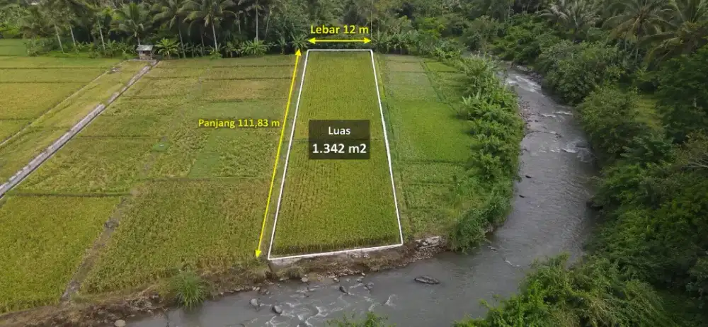 JUAL SAWAH MURAH