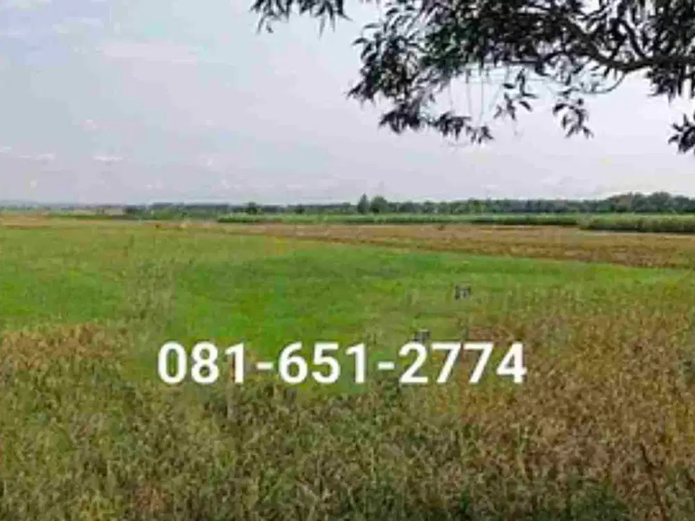 Tanah di Mojokerto Gedeg