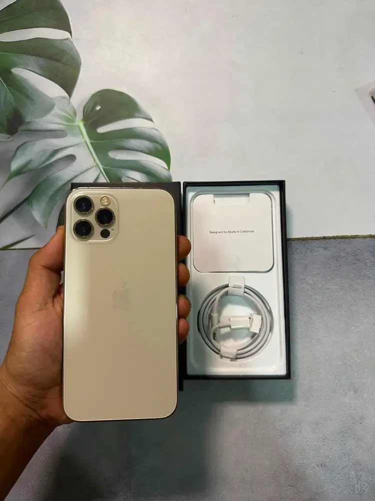 IPHONE 12 PRO 128 GB INTER