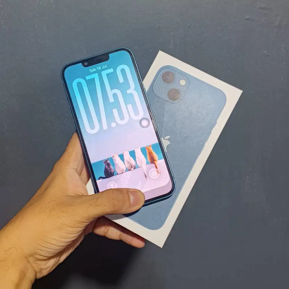 iphone 13 256gb beacukai