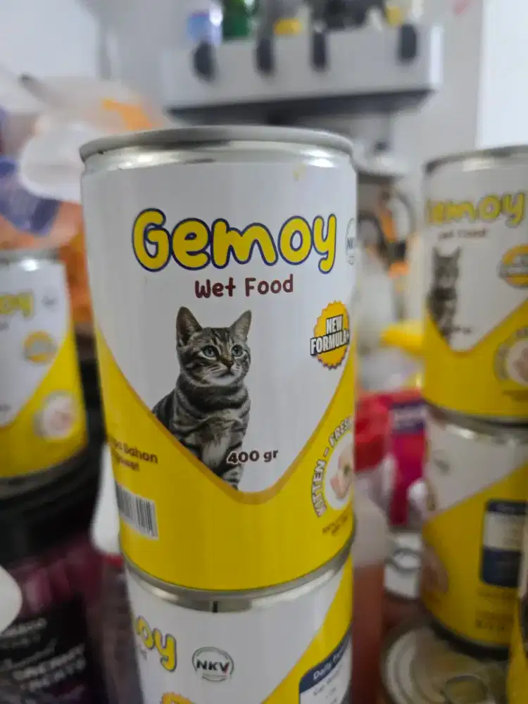 Gemoy kaleng makan kucing raya ayam