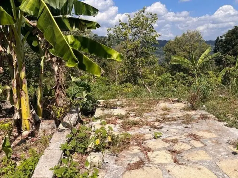 Tanah Pekarangan di Candisari, Wukirharjo, Prambanan, Sleman