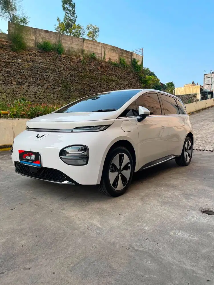 CLOUD EV PRO 460km 2025