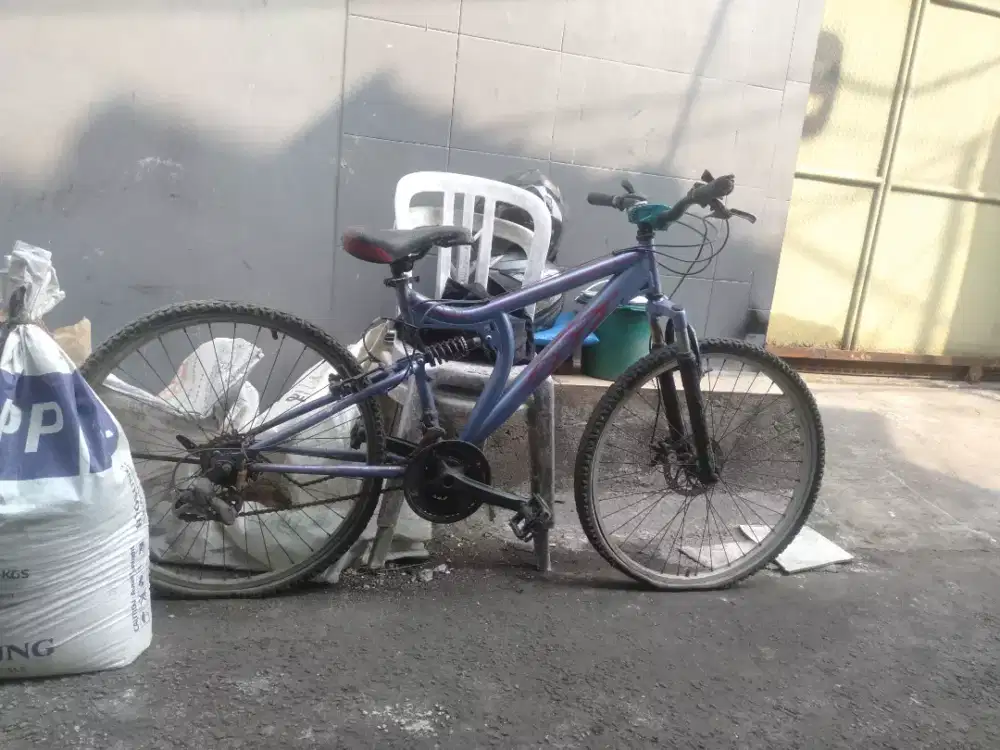 Sepeda olahraga