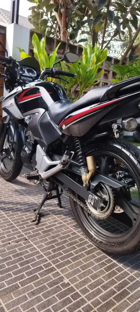 Jarang Ada Tiger Pece Full Ori