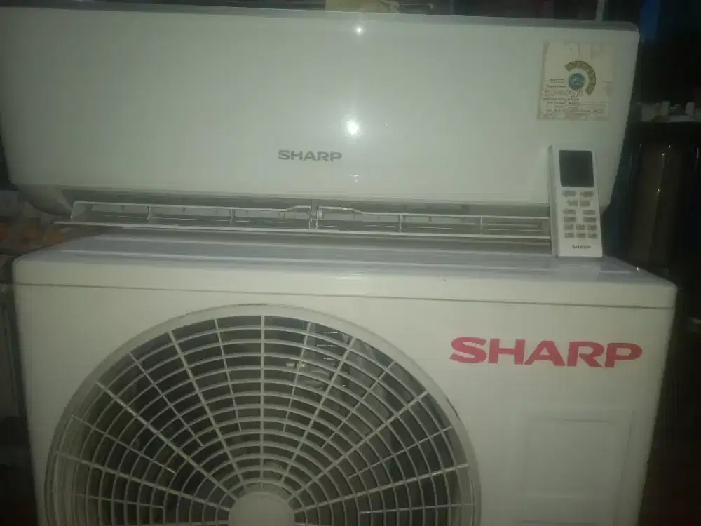 Ac sharp 1/2 pk r32 original