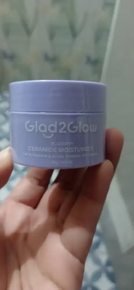Moist G2g blueberry