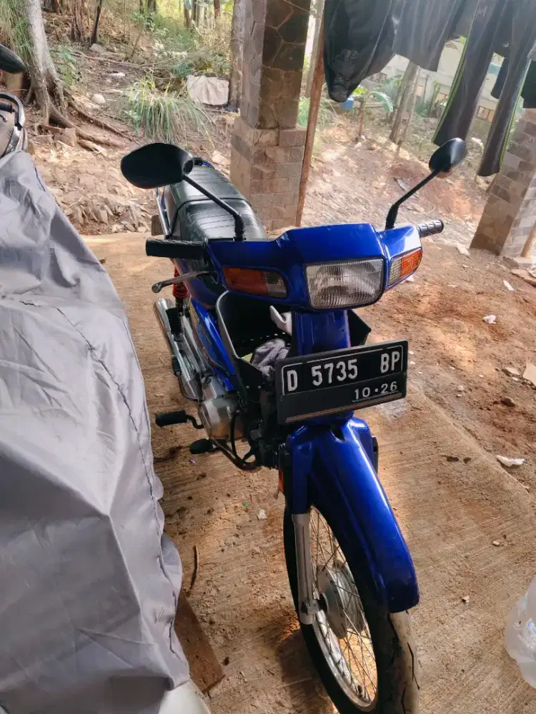 Astrea Grand mulus