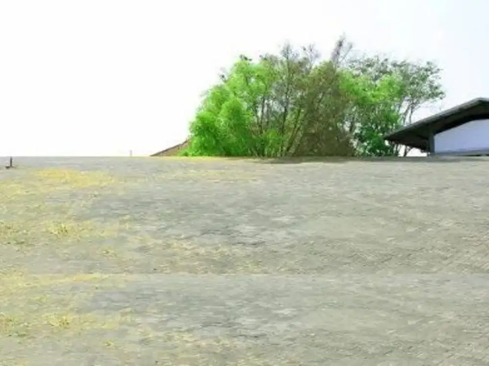 Dijual tanah Industri, Jalan Raya Semarang Demak, Luas 4,1 hektar, Harga permeter hanya