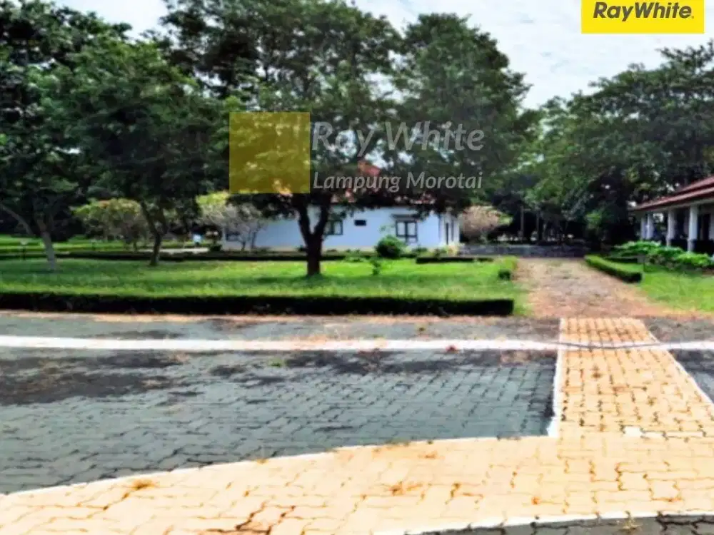 Dijual Tanah di Negara Batin, Lampung Timur (Kode HO 3618)