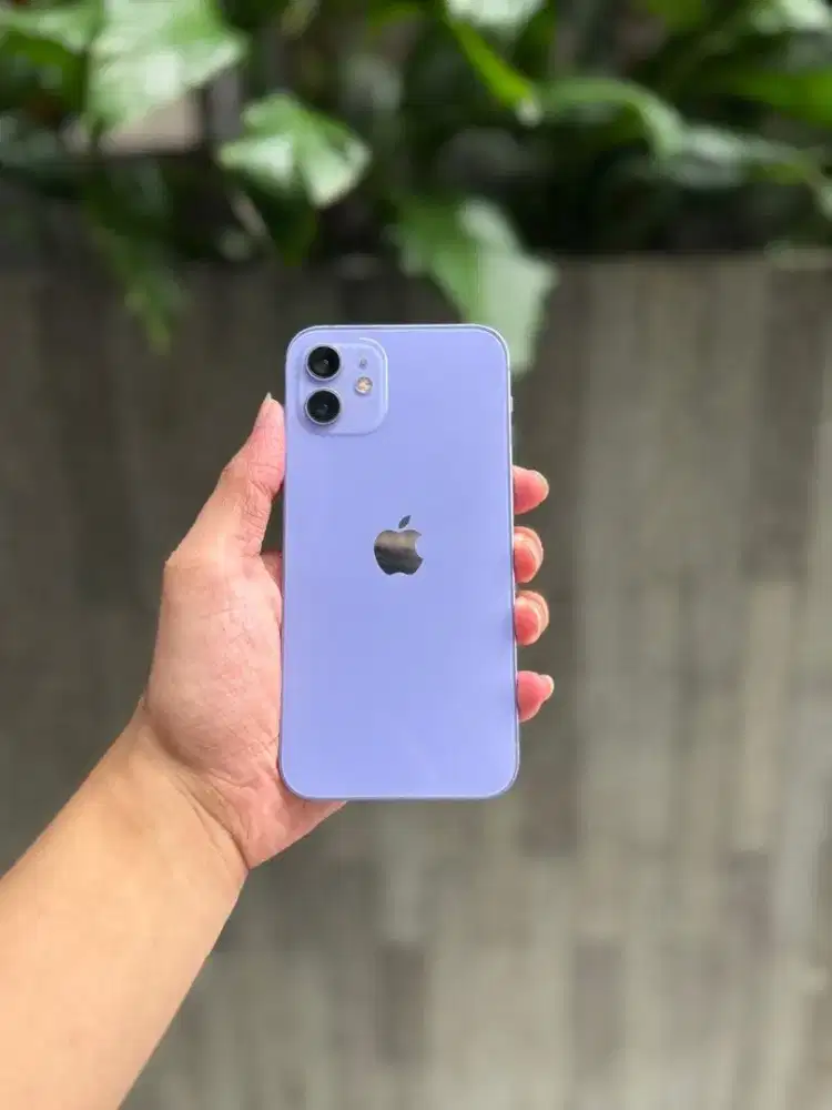 Jual Iphone 12 256GB Ibox/Inter