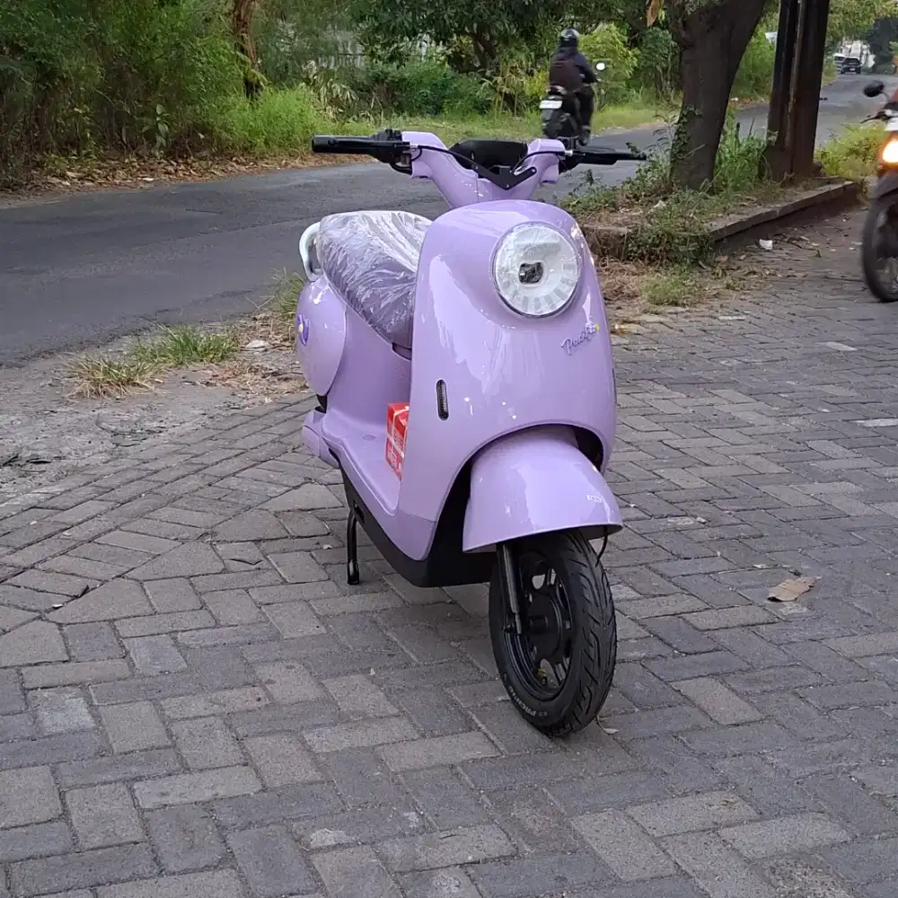 SEPEDA LISTRIK PASIFIC VENTURE M2