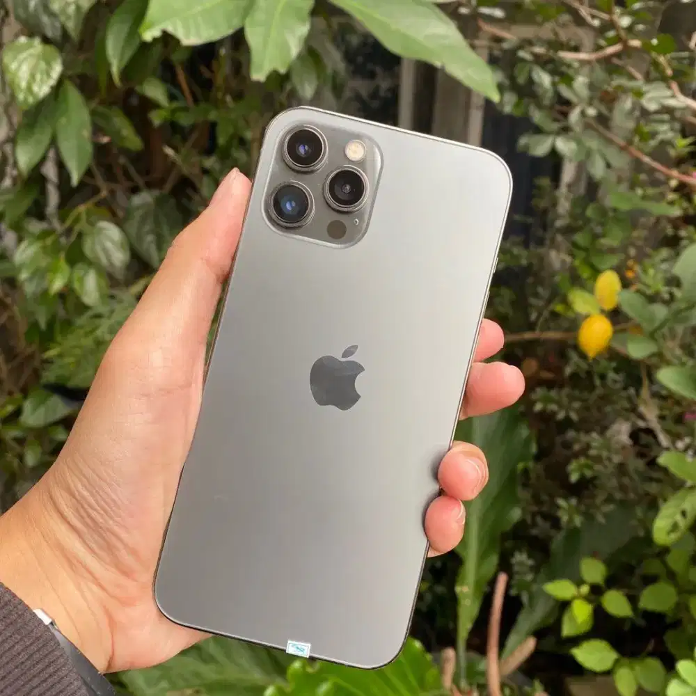 Jual Iphone 12 Pro Max 256GB Ibox/Inter