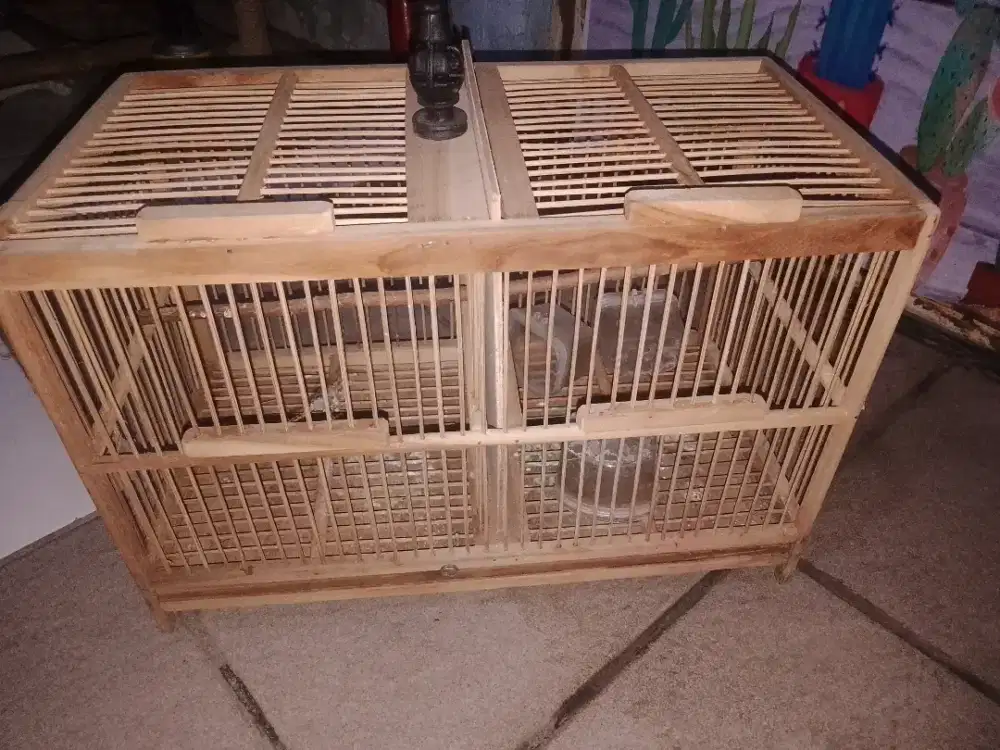 kandang burung sekar burcil