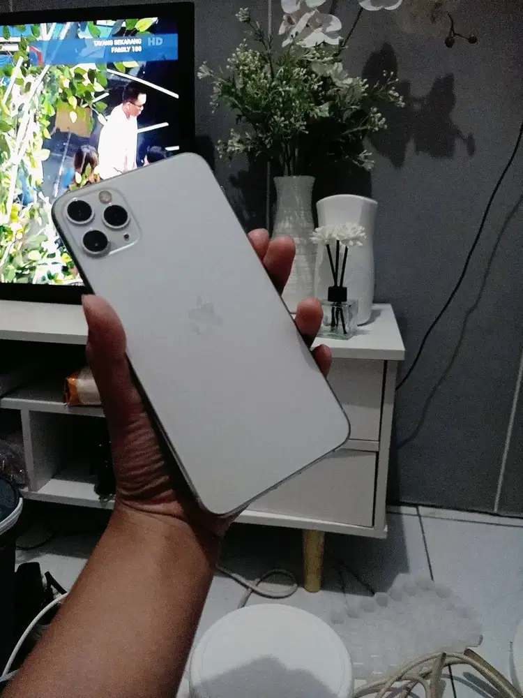 Iphone 11 promax 512gb mulusss
