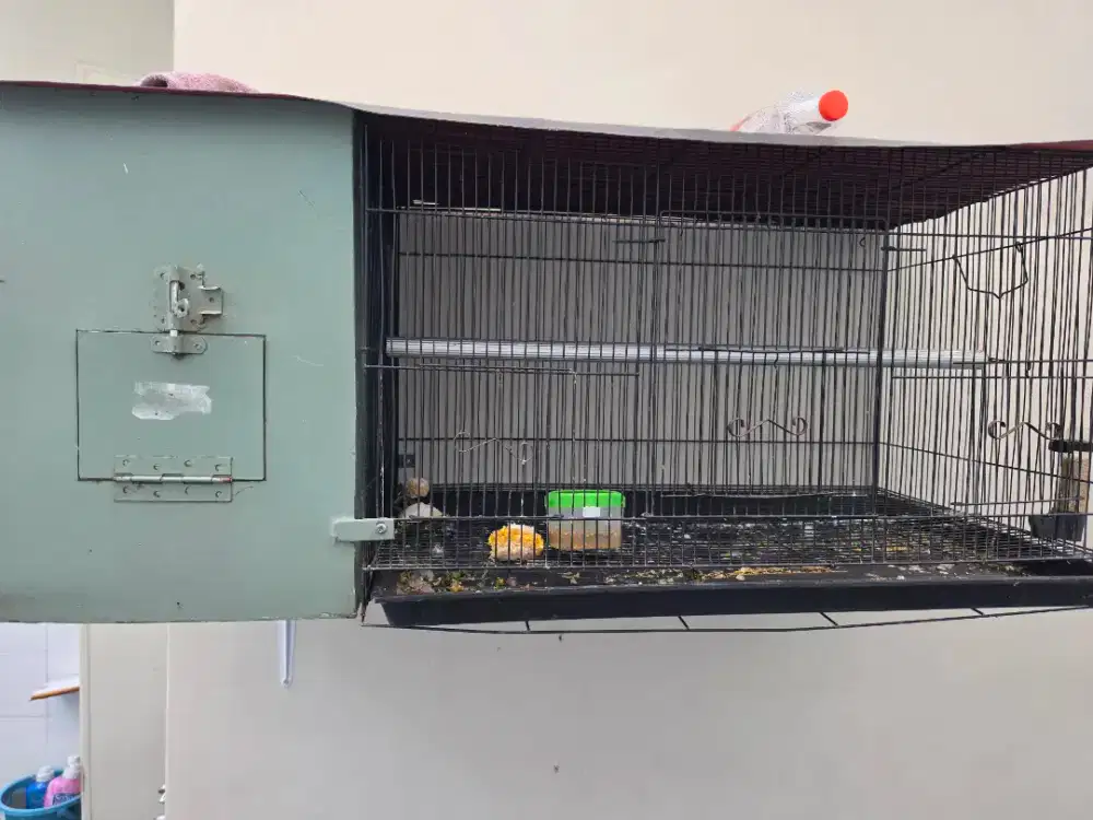 Sangkar ternak burung plus glodok besi
