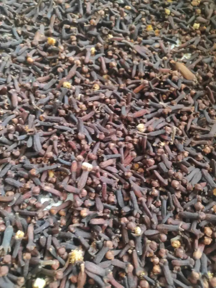Cengkeh Kering Kiloan