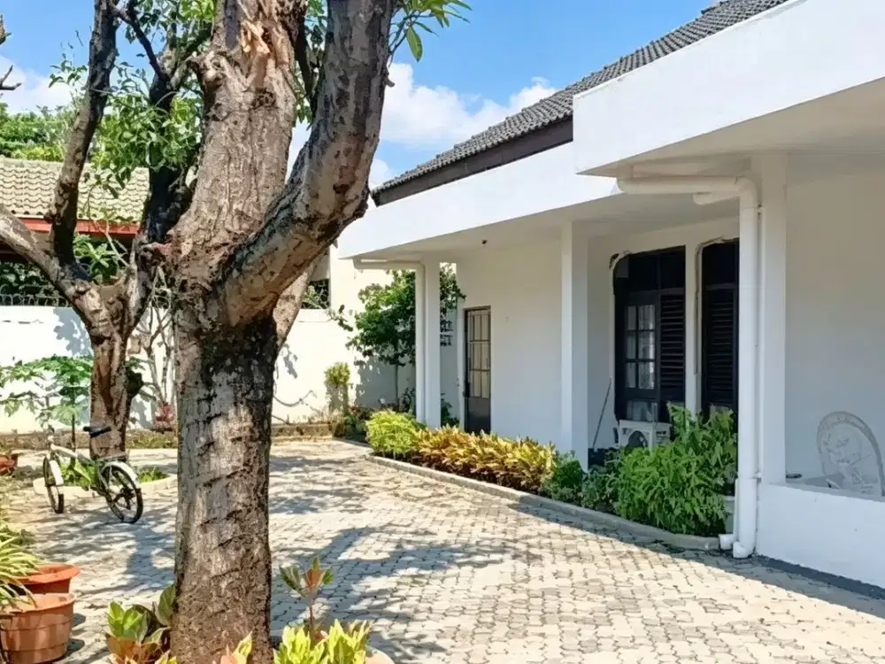 RUMAH BESAR DI PULO GEBANG – APPRAISAL 4 M, JUAL CEPAT HANYA 3,5 M!