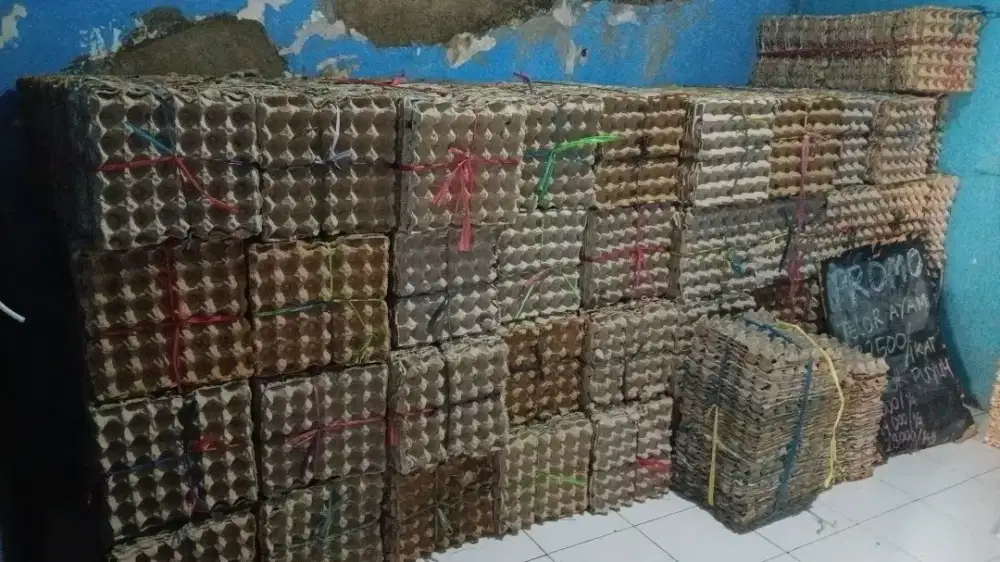 Jual tempat telur