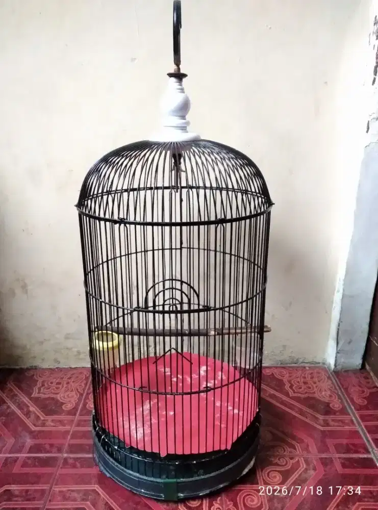 Kandang bekas burung lovebird layak pakai
