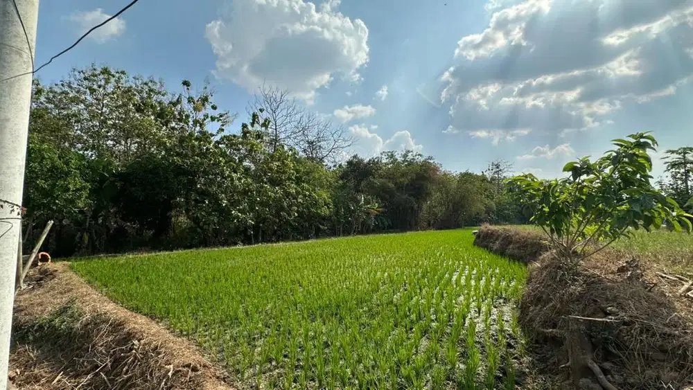 Harga Menarik! Tanah SHM Rp600 Ribu/m² Lokasi Strategis