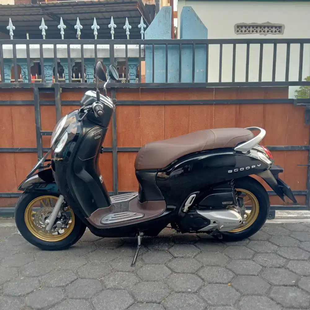 Scoopy prestige 2021 kayles