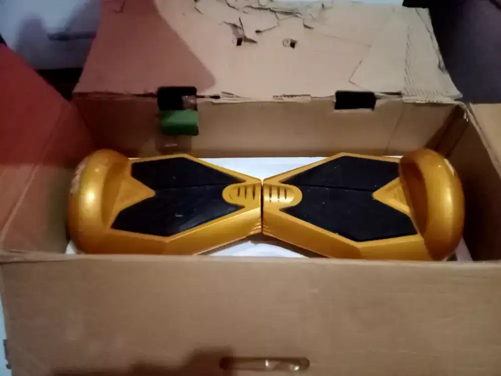 Hoverboard Ro-Board