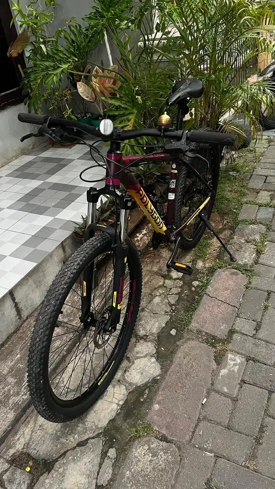 Polygon Premier 4 2021