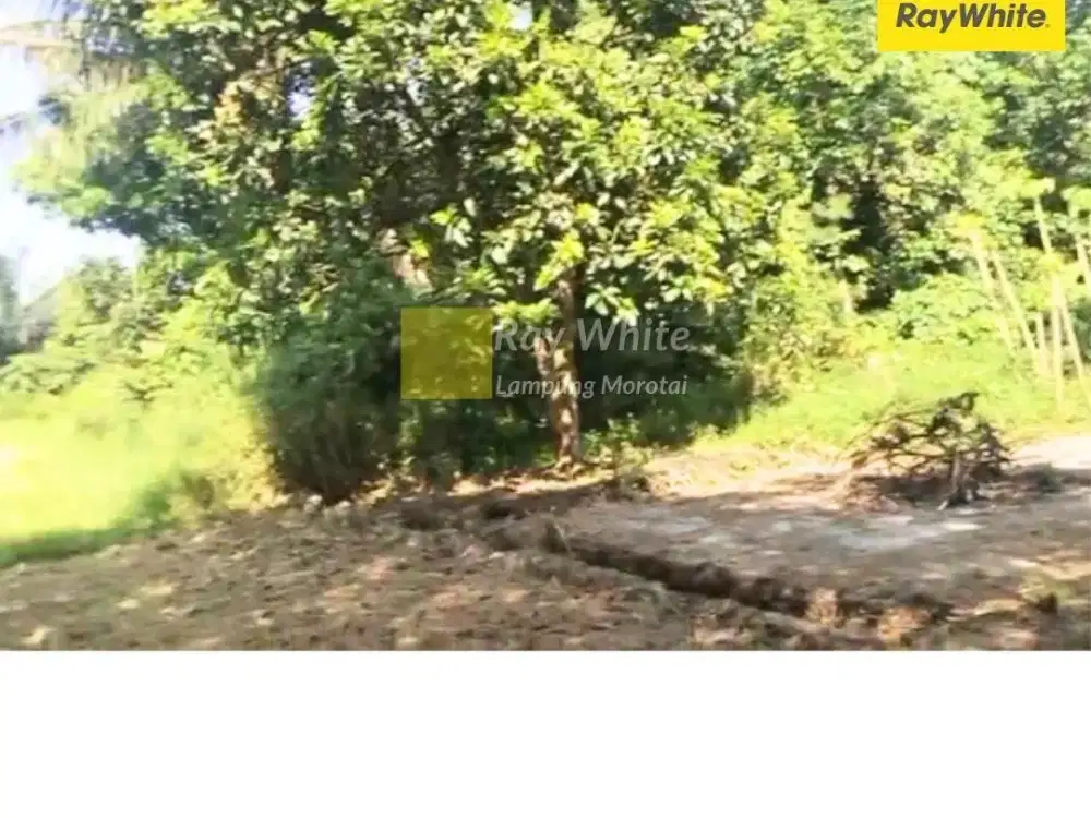 DIjual Tanah JL. ZA. Pagar Alam, Rajabasa, Bandar Lampung (kode : BE 3620)