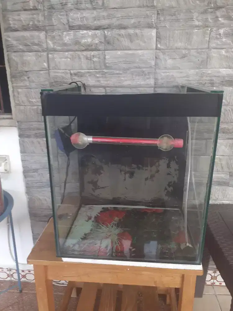 Aquarium ikan hias