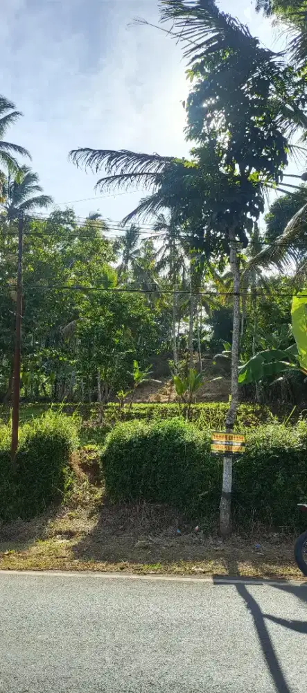 DIJUAL TANAH 0 JALAN RAYA PROVINSI, KEC SUMBER MANJING WETAN, MALANG