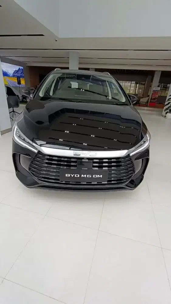PROMO BYD M6 DM