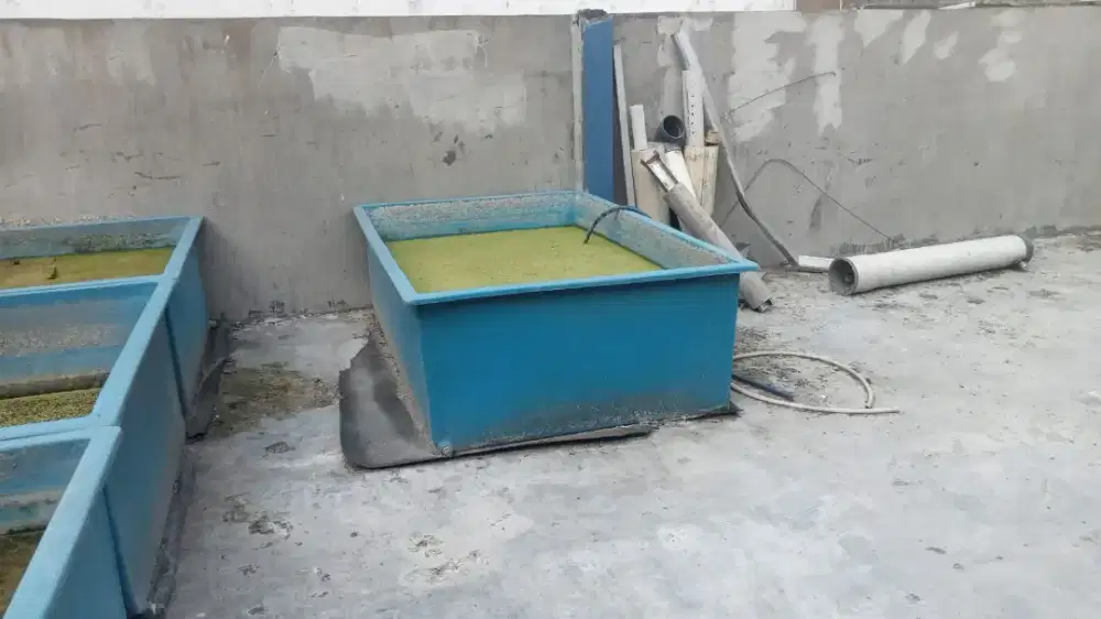 Perlengkapan kebutuhan ternak ikan