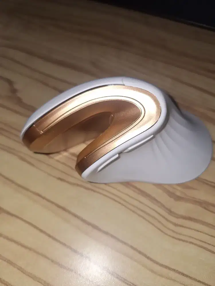 Mouse Ergo ProtoArch EM 11 NL