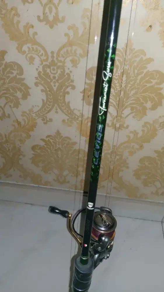 Joran levius 15 lb dan reel daido 3000