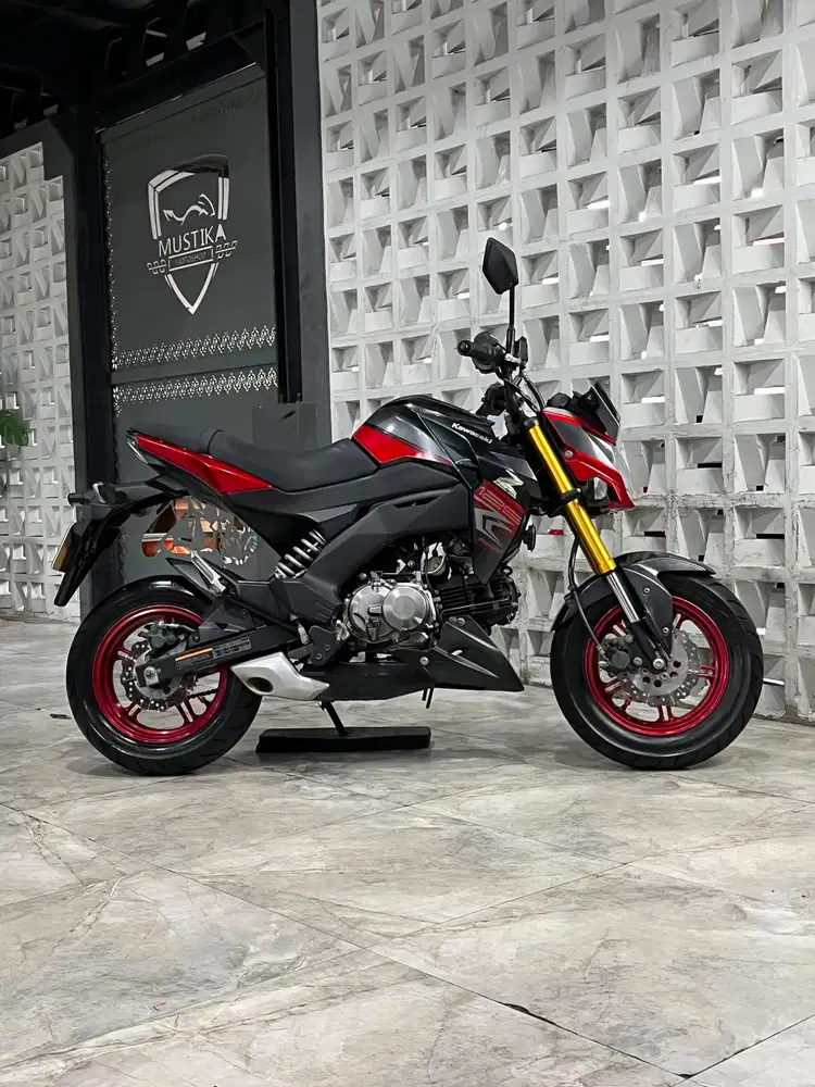 KAWASAKI Z125 2018 - Chintia Mustika