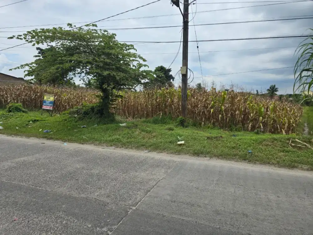 Dijual Tanah 24 x 49 meter tanah darat