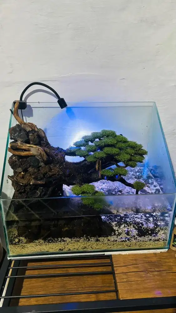 Aquarium dan isinya lengkap