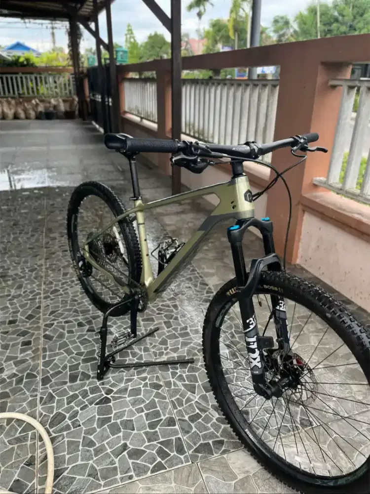 Polygon syncline C5 carbon