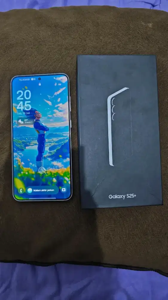Samsung S25 Plus