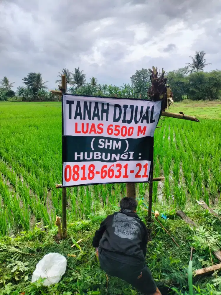 Dijual murah tanah datar luas tanah 6500 MTR lokasi dekat kota Cianjur