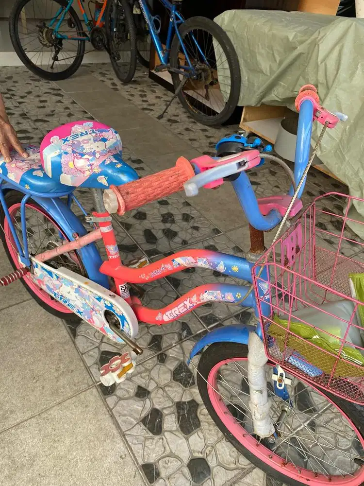 Sepeda anak menengah