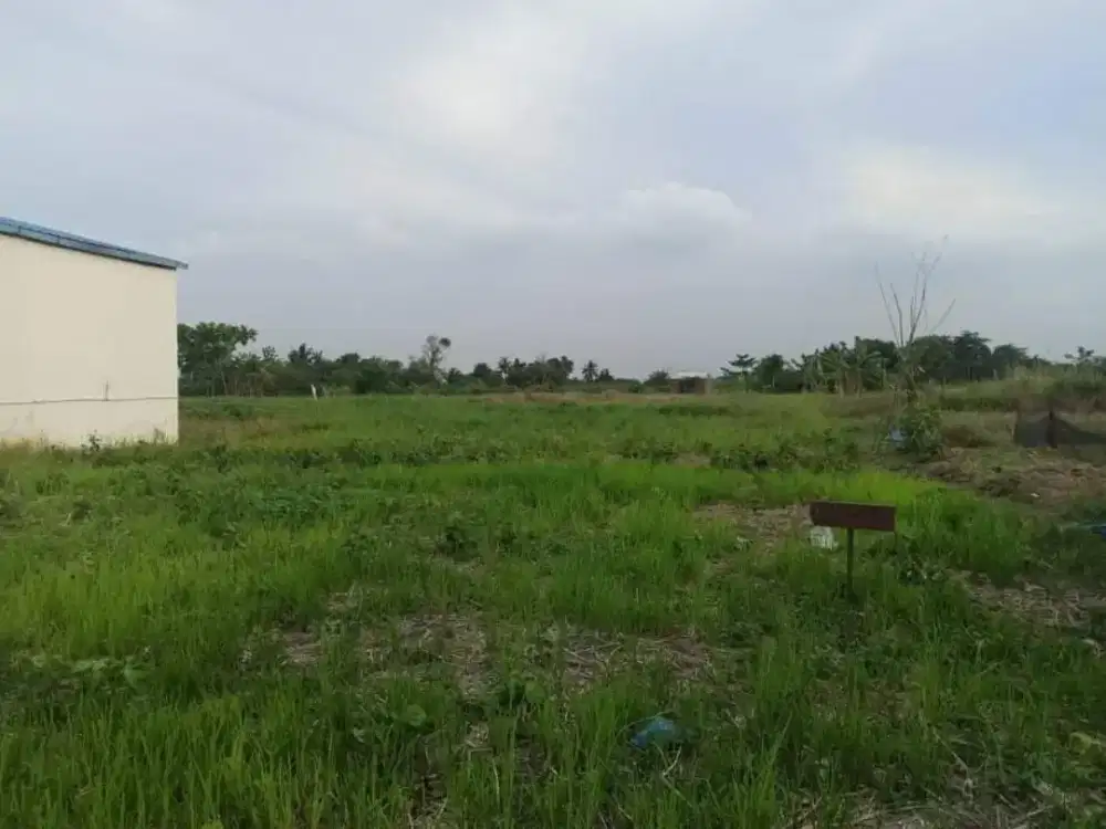 Dijual tanah murah
