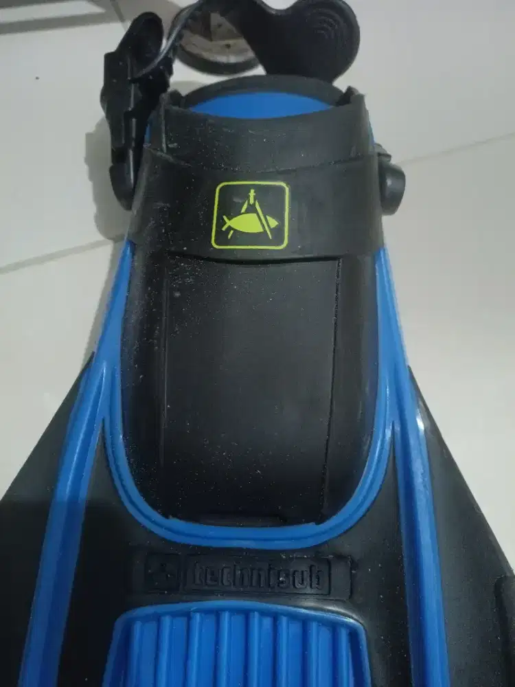 Sepatu Renang Katak