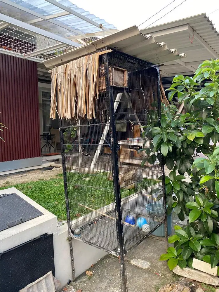 Kandang burung besar